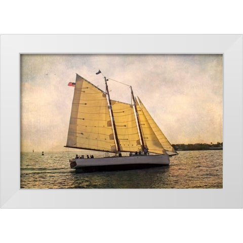 Morning Sail White Modern Wood Framed Art Print by Van Swearingen, Debra