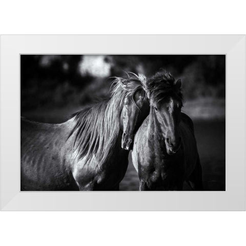 Buddies White Modern Wood Framed Art Print by Aledanda
