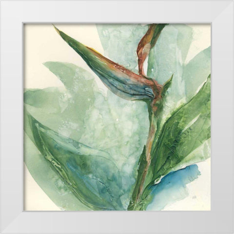 Exotic Flower III White Modern Wood Framed Art Print by Paschke, Chris