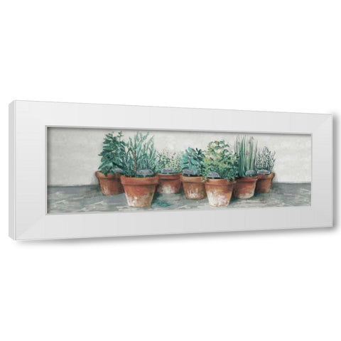 Pots of Herbs II Cottage v2 White Modern Wood Framed Art Print by Rowan, Carol