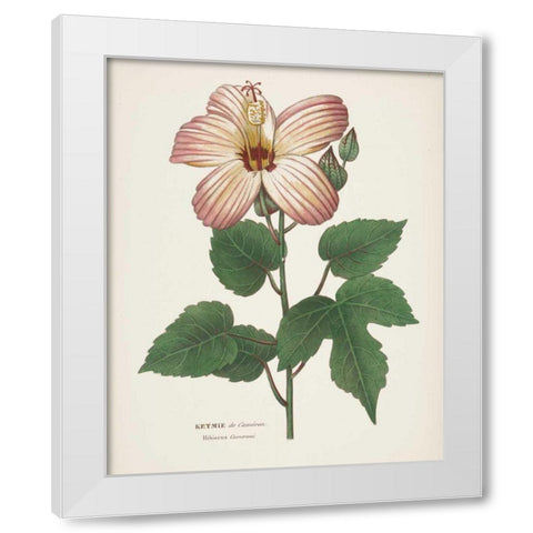 Antique Botanical XXVII Cream White Modern Wood Framed Art Print by Wild Apple Portfolio