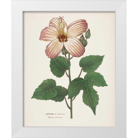 Antique Botanical XXVII Cream White Modern Wood Framed Art Print by Wild Apple Portfolio