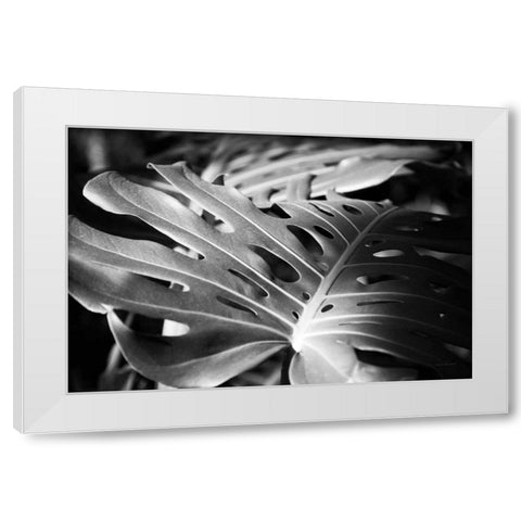 Philodendron White Modern Wood Framed Art Print by Marshall, Laura