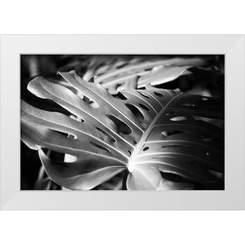 Philodendron White Modern Wood Framed Art Print by Marshall, Laura