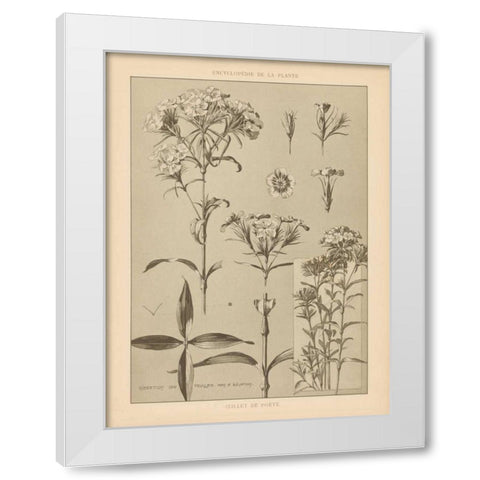 Lithograph Florals III White Modern Wood Framed Art Print by Wild Apple Portfolio