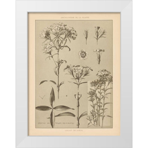 Lithograph Florals III White Modern Wood Framed Art Print by Wild Apple Portfolio