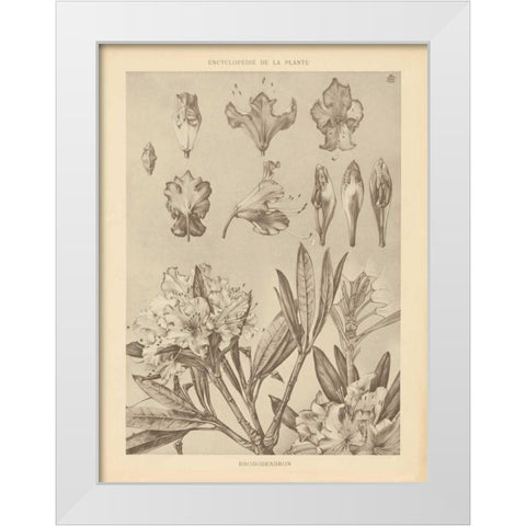 Lithograph Florals IV White Modern Wood Framed Art Print by Wild Apple Portfolio