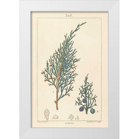 Sabine Drawing White Modern Wood Framed Art Print by Wild Apple Portfolio