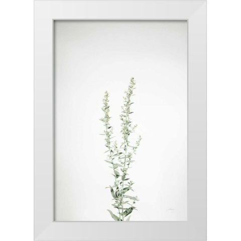 Simple Stems IV White Modern Wood Framed Art Print by Bradley, Felicity