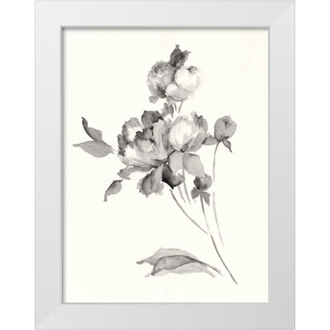 Peony Blossoms Gray Crop White Modern Wood Framed Art Print by Wild Apple Portfolio