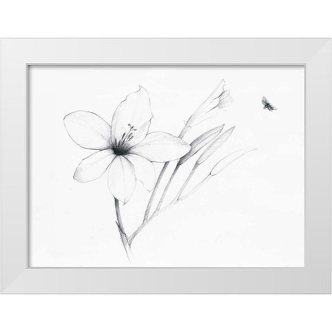 Graphite Floral II White Modern Wood Framed Art Print by Tillmon, Avery