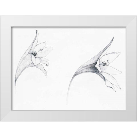 Graphite Floral VI White Modern Wood Framed Art Print by Tillmon, Avery
