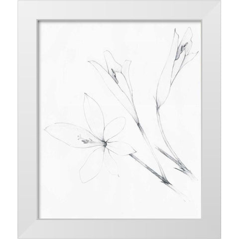 Graphite Floral IV White Modern Wood Framed Art Print by Tillmon, Avery
