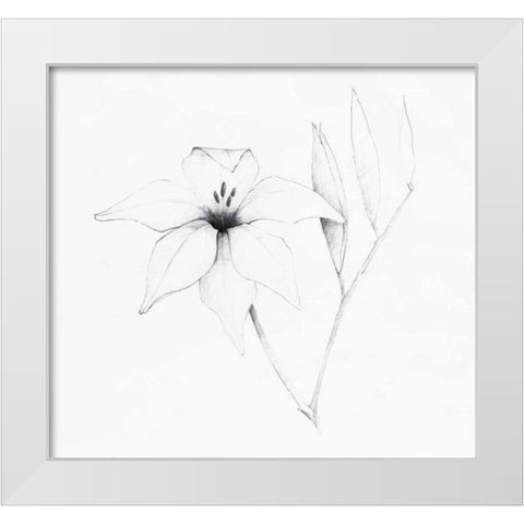 Graphite Floral V White Modern Wood Framed Art Print by Tillmon, Avery