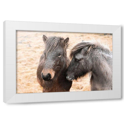 Bjarni and Imir II White Modern Wood Framed Art Print by Marshall, Laura