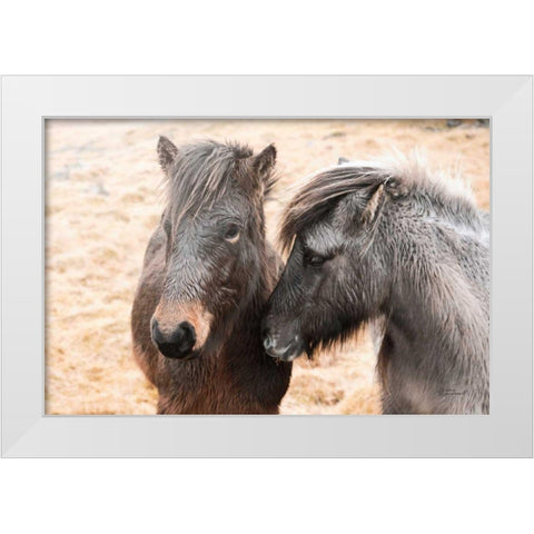 Bjarni and Imir II White Modern Wood Framed Art Print by Marshall, Laura