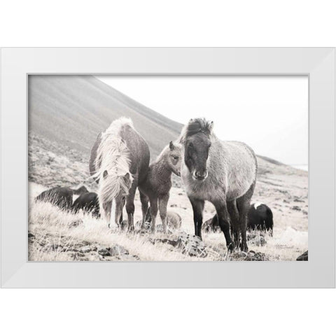 Horses of Hofn I BW White Modern Wood Framed Art Print by Marshall, Laura