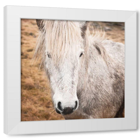 Heida IV White Modern Wood Framed Art Print by Marshall, Laura