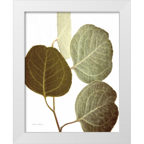 Eucalyptus Color on White White Modern Wood Framed Art Print by Van Swearingen, Debra