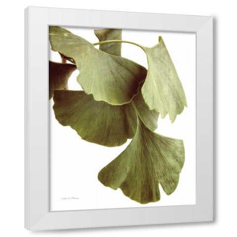 Ginko Color on White White Modern Wood Framed Art Print by Van Swearingen, Debra