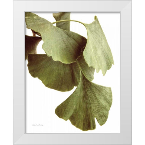 Ginko Color on White White Modern Wood Framed Art Print by Van Swearingen, Debra