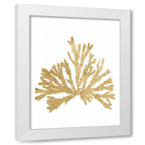 Pacific Sea Mosses IV Gold White Modern Wood Framed Art Print by Wild Apple Portfolio