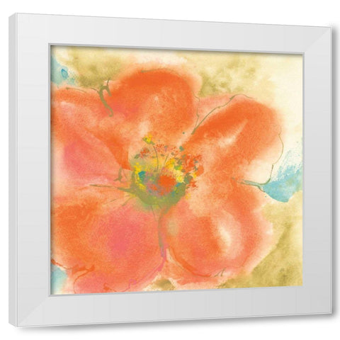 Coral Poppy II White Modern Wood Framed Art Print by Paschke, Chris