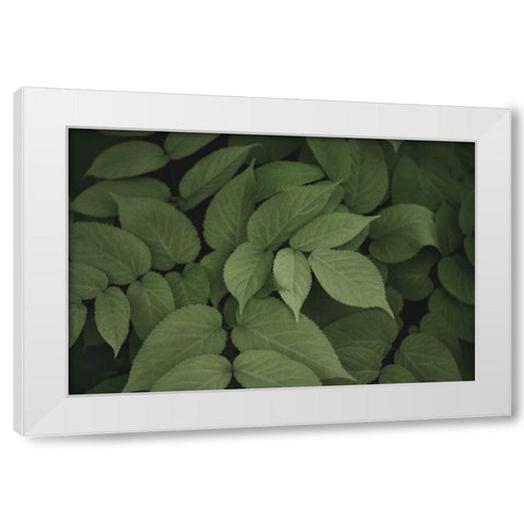 Leafy I White Modern Wood Framed Art Print by Urquhart, Elizabeth