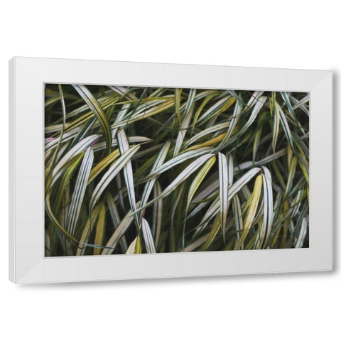 Leafy IV White Modern Wood Framed Art Print by Urquhart, Elizabeth