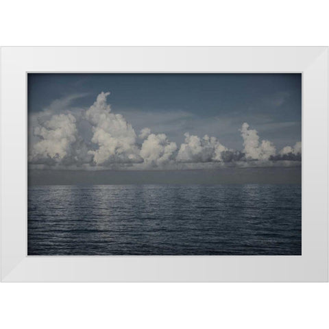 Into the Deep II White Modern Wood Framed Art Print by Urquhart, Elizabeth