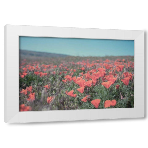 California Blooms I White Modern Wood Framed Art Print by Urquhart, Elizabeth