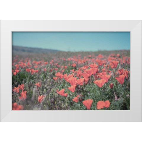 California Blooms I White Modern Wood Framed Art Print by Urquhart, Elizabeth