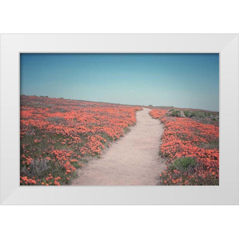 California Blooms IV White Modern Wood Framed Art Print by Urquhart, Elizabeth
