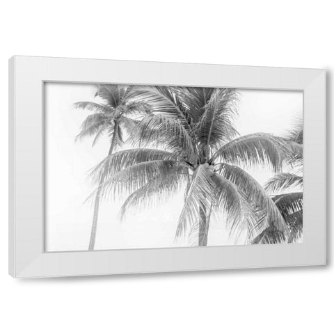 Breezy II White Modern Wood Framed Art Print by Urquhart, Elizabeth