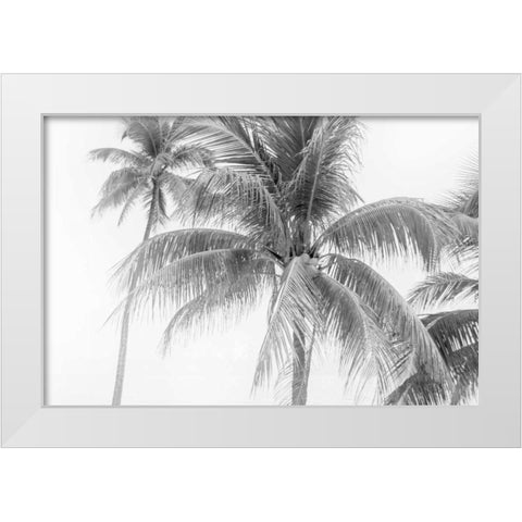 Breezy II White Modern Wood Framed Art Print by Urquhart, Elizabeth