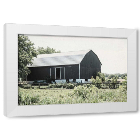 Weathered II White Modern Wood Framed Art Print by Urquhart, Elizabeth