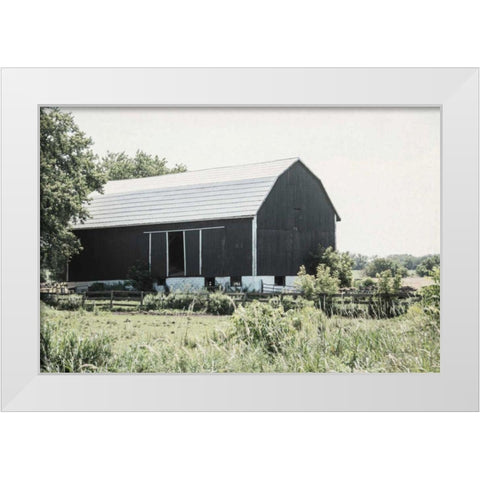 Weathered II White Modern Wood Framed Art Print by Urquhart, Elizabeth
