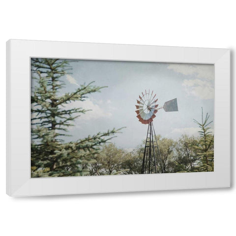 Sun Drenched I White Modern Wood Framed Art Print by Urquhart, Elizabeth