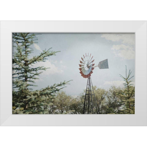 Sun Drenched I White Modern Wood Framed Art Print by Urquhart, Elizabeth