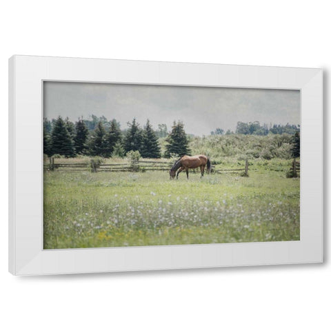 Sun Drenched II White Modern Wood Framed Art Print by Urquhart, Elizabeth