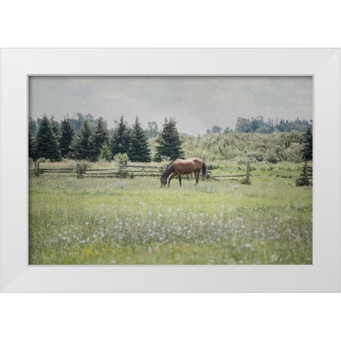 Sun Drenched II White Modern Wood Framed Art Print by Urquhart, Elizabeth