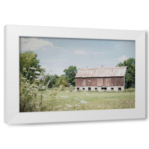 Sun Drenched IV White Modern Wood Framed Art Print by Urquhart, Elizabeth