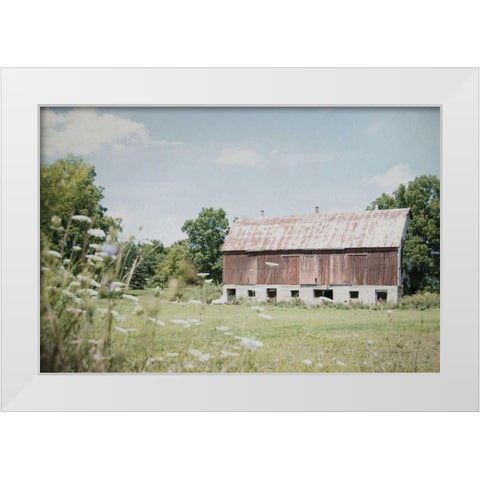 Sun Drenched IV White Modern Wood Framed Art Print by Urquhart, Elizabeth