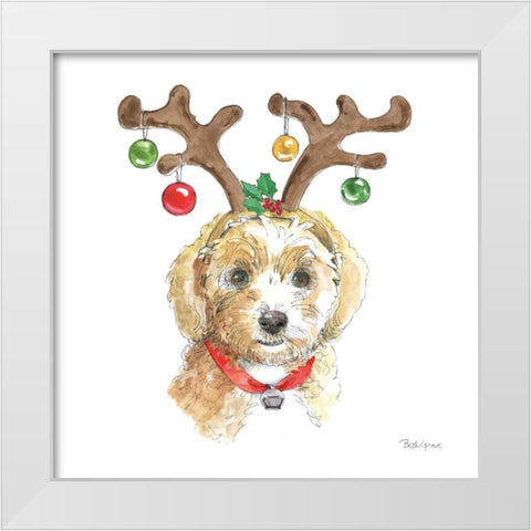 Holiday Paws VI on White White Modern Wood Framed Art Print by Grove, Beth