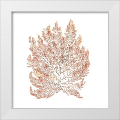 Pacific Sea Mosses I White Sq White Modern Wood Framed Art Print by Wild Apple Portfolio