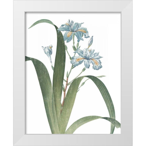 Summer Botanicals III on White White Modern Wood Framed Art Print by Wild Apple Portfolio
