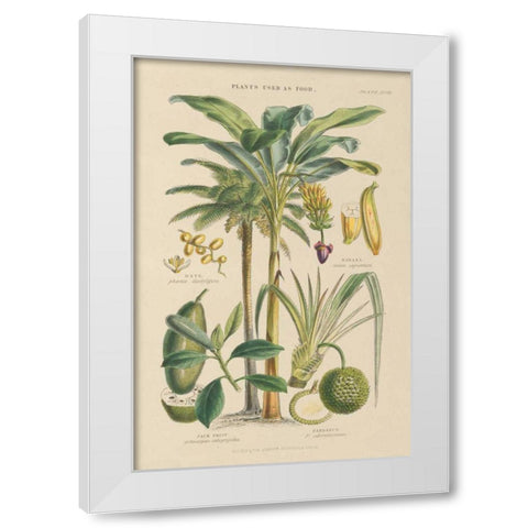 Fruit Trees White Modern Wood Framed Art Print by Wild Apple Portfolio