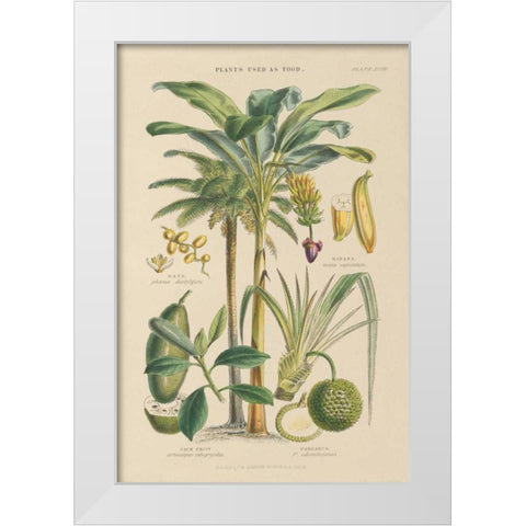 Fruit Trees White Modern Wood Framed Art Print by Wild Apple Portfolio