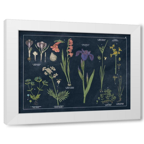 Botanical Floral Chart II Dark Blue White Modern Wood Framed Art Print by Wild Apple Portfolio