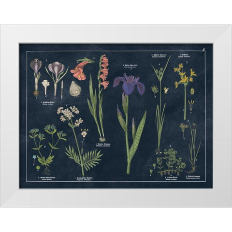 Botanical Floral Chart II Dark Blue White Modern Wood Framed Art Print by Wild Apple Portfolio